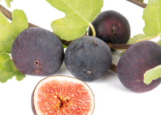 Unveiling the Delightful Brown Turkey Fig: Enhancing Your Garden and Palate