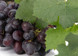 Outdoor Grapes