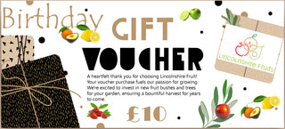 Lincolnshire Fruits Birthday Gift Card